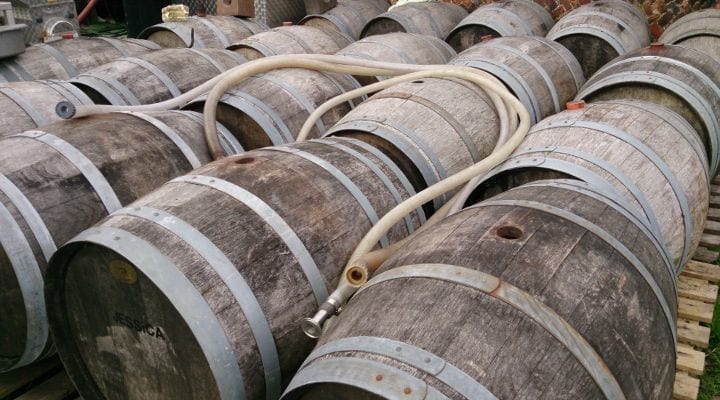 What is the difference between vintage and non-vintage Champagne?