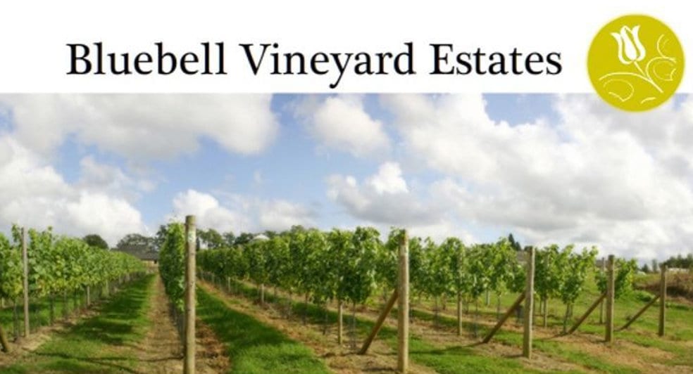 English Sparkling Bluebell Vineyard Estates Hindleap English Sparkling Bluebell Vineyard Estates Hindleap