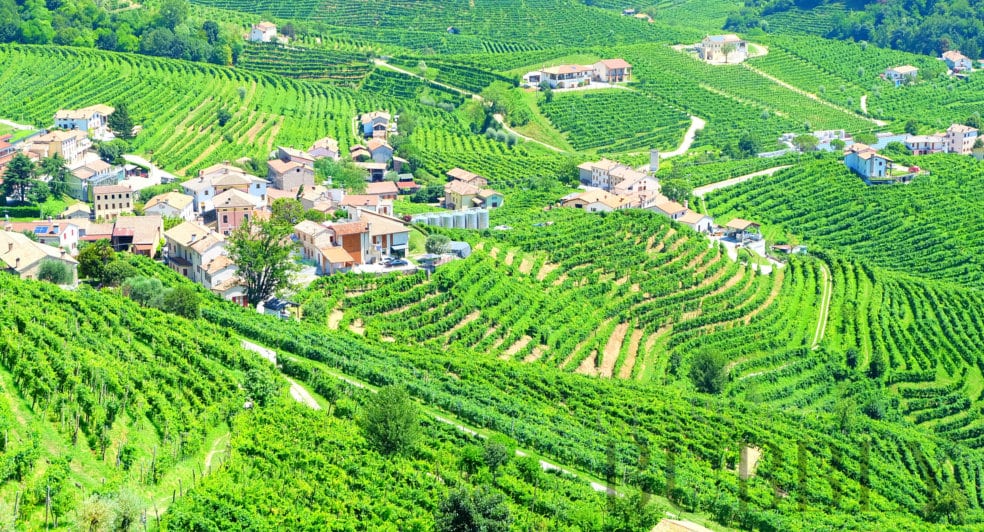 Prosecco Region
