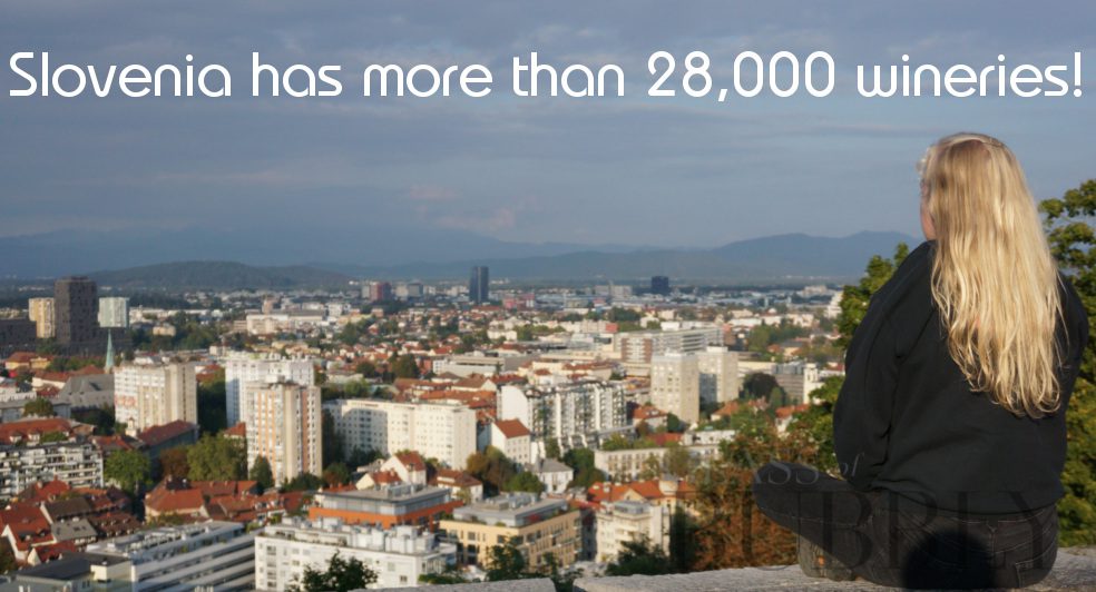 Slovenia has more than 28,000 wineries Slovenia has more than 28,000 wineries