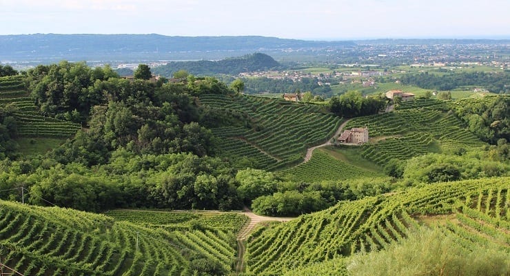 Veneto Veneto