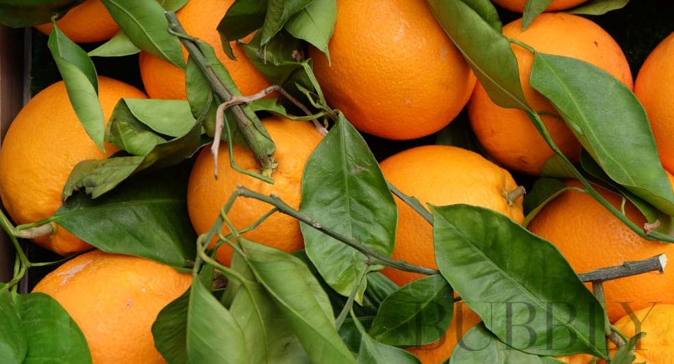 Zesty Burst from Oranges